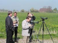 entspannt beobachten
